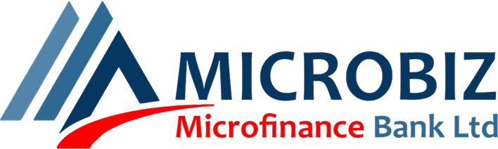 microbiz-mfb-logo